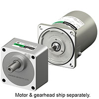 AC Gear Motor