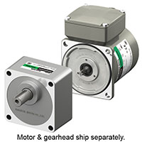 AC Gear Motor