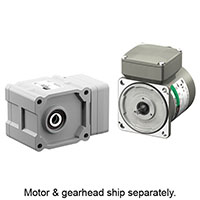AC Gear Motor