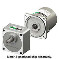 AC Gear Motor