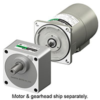 AC Gear Motor