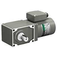 AC Motor