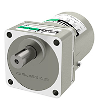 AC Motor