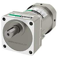 AC Motor