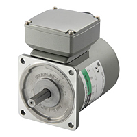 AC Motor