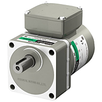 AC Motor