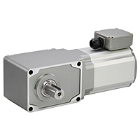 AC Gear Motor