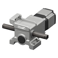 Linear Head