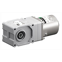 AC Speed Control Motor