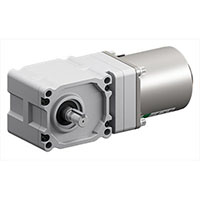 AC Speed Control Motor