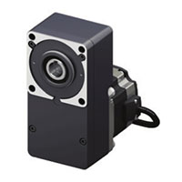 Stepper Motor with Hollow Shaft Flat Gear