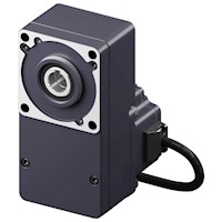 Brushless DC Motor