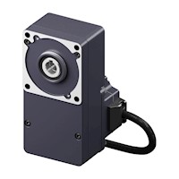 Brushless DC Motor