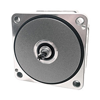 Brushless DC Motor