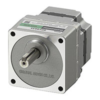 Brushless DC Motor
