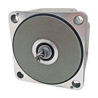 Brushless DC Motor