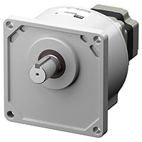 Brushless DC Motor
