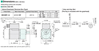 Motor Dimensions