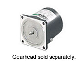 pinion shaft motors pinion shaft motors