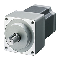 Stepper Motor