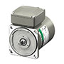 AC Motor