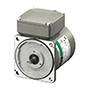 AC Motor