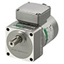 AC Gear Motor