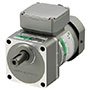 AC Motor