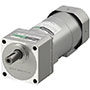 AC Motor
