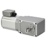 AC Gear Motor