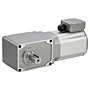 AC Gear Motor