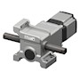 Linear Head Linear Head