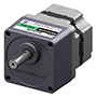 Brushless DC Motor