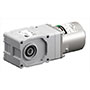 AC Speed Control Motor