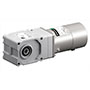AC Speed Control Motor