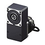 Stepper Motor with Hollow Shaft Flat Gear