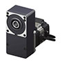 Stepper Motor with Hollow Shaft Flat Gear