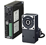 Brushless DC Motor