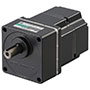 Brushless DC Motor