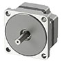 Brushless DC Motor