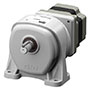 Brushless DC Motor