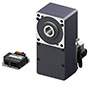 Brushless DC Motor