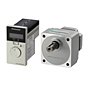 Brushless DC Motor