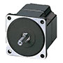 Brushless DC Motor
