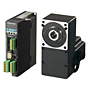 Brushless DC Motor