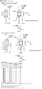 Linear Head Dimensions