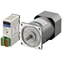 AC Motor