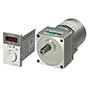 AC Speed Control Motor