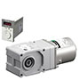 AC Speed Control Motor